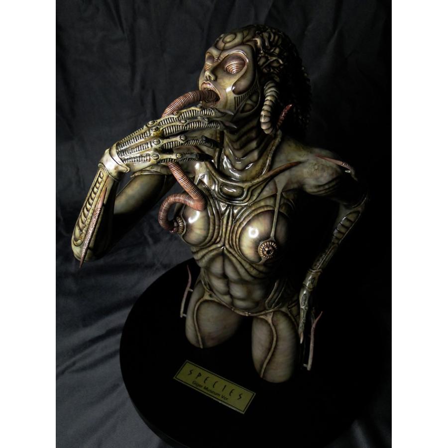 SPECIES SIL 完成品 : ROSWELL JAPAN - 通販 - Yahoo!ショッピング