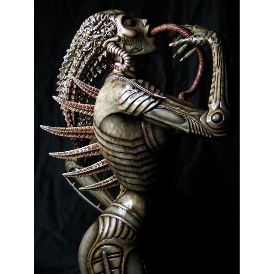 SPECIES SIL 完成品 : ROSWELL JAPAN - 通販 - Yahoo!ショッピング