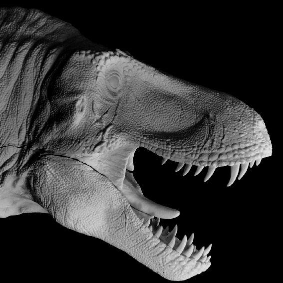 Tyrannosaurus Rex壁掛け キット【取り寄せ】 : ROSWELL JAPAN - 通販