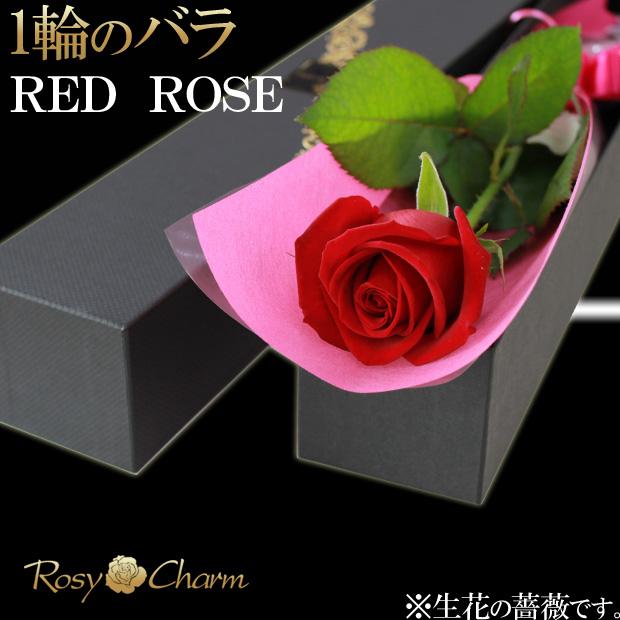 赤い薔薇 1本 箱入り ギフト 誕生日 プレゼント 結婚記念日 お祝い バラ 赤 1輪 最大82％オフ 最大43%OFFクーポン 告白 贈り物 プロポーズ 高級ＢＯＸ入り