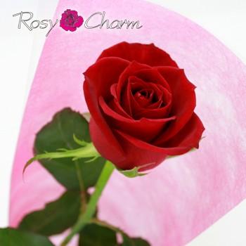 赤い薔薇 生花 1本 箱入り ギフト 誕生日 プレゼント 結婚記念日 告白 プロポーズ 1輪 赤 バラ 贈り物 高級ｂｏｘ入り お祝い 1 Redrose ロージーチャーム ヤフー店 通販 Yahoo ショッピング