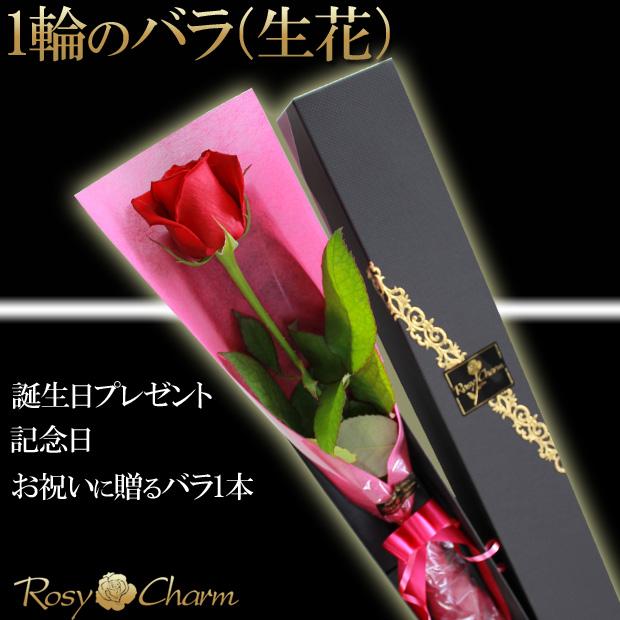 赤い薔薇 1本 【生花】 箱入り ギフト 誕生日 プレゼント 結婚記念日 薔薇❶