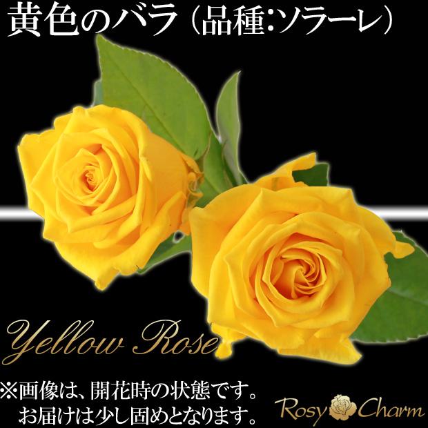 バラの花束 100本 赤い薔薇 プロポーズ 誕生日 プレゼント 結婚記念日 お祝い 贈り物 高級 薔薇 花束 バラ ギフト｜バラの色選択可能_9