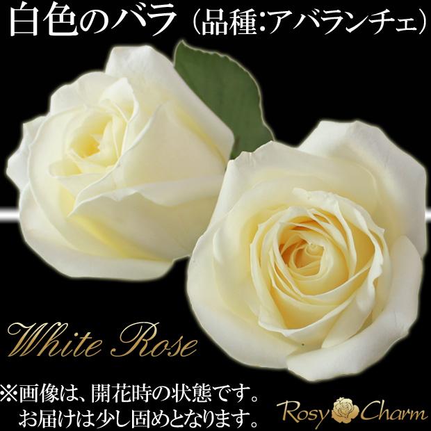 バラの花束 100本 赤い薔薇 プロポーズ 誕生日 プレゼント 結婚記念日 お祝い 贈り物 高級 薔薇 花束 バラ ギフト｜バラの色選択可能_8