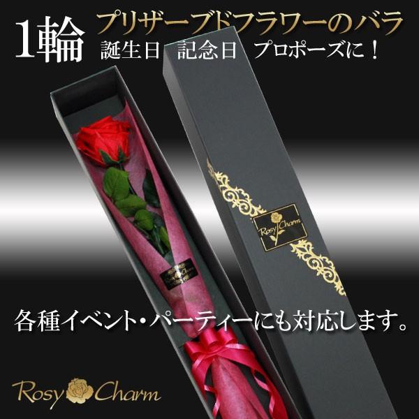 1輪のバラ プリザーブドフラワー 誕生日 プレゼント 結婚 記念日 プロポーズ 贈り物 枯れない 薔薇 一本 高級 ギフトボックス入り 花束 お祝い バラ1本 ギフト｜rosycharm｜04