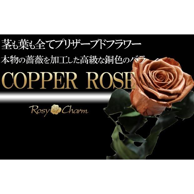 銅色のバラ 1本 プリザーブドフラワー コッパーローズ プロポーズ 結婚記念日 誕生日 プレゼント 薔薇 1輪 枯れない花 ギフト Copperrose 1 ロージーチャーム ヤフー店 通販 Yahoo ショッピング