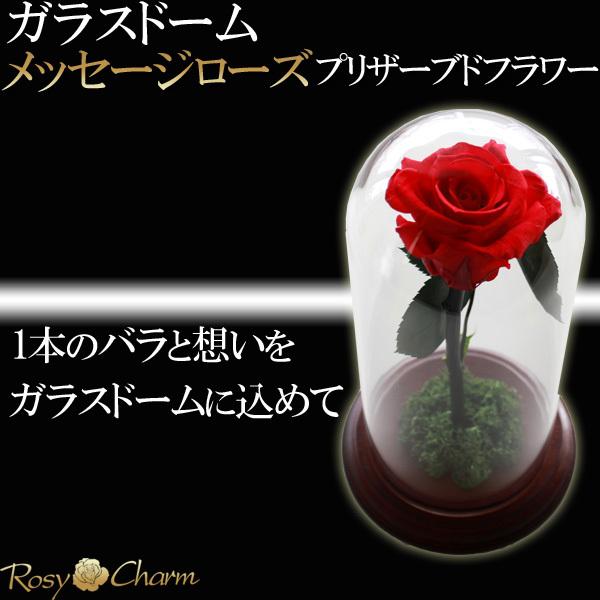 ガラスドーム メッセージローズ プリザーブドフラワー 薔薇 1本