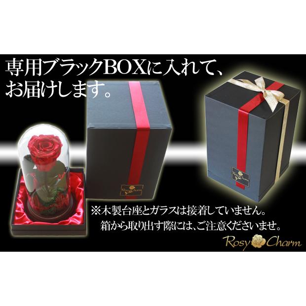 ガラスドーム メッセージローズ プリザーブドフラワー 薔薇 1本