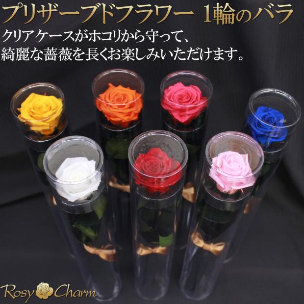 プリザーブドフラワー バラ 一本 クリアケース入り 誕生日 プレゼント
