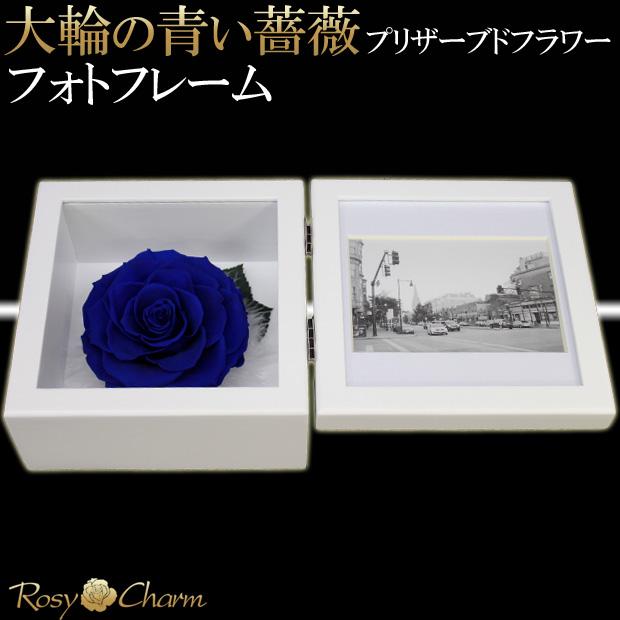 プリザーブドフラワー フォトフレーム 大輪 青いバラ 一輪 写真立て