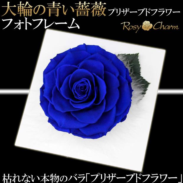 ROSE GALLERY プリザーブドフラワー フォトフレーム青 プリザーブドフラワー フォトフレーム 大輪 青いバラ 一輪 写真立て