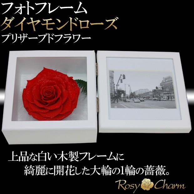 驚きの安さ 可愛い プリザーブドフラワー バラ レッドローズ 薔薇 花 ガラスドーム Ledライト付き 木製ベース ブリザードフラワー ロマンティック きれい おしゃれ 記念日 お祝い 結婚式 結婚記念日 退 花 Indonesiadevelopmentforum Com