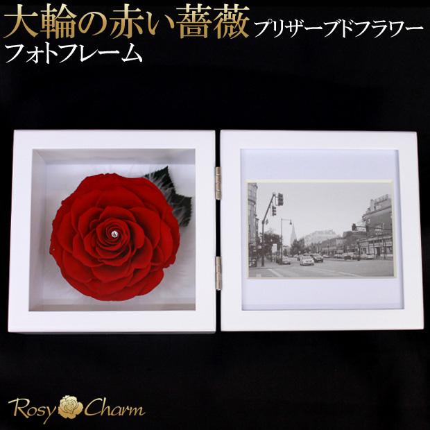 プリザーブドフラワー フォトフレーム 大輪 赤いバラ 一輪 写真立て