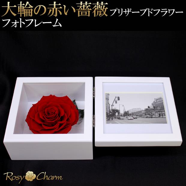 ローズクリアフレーム　一輪のばらつき プリザーブドフラワー フォトフレーム 大輪 赤いバラ 一輪 写真立て