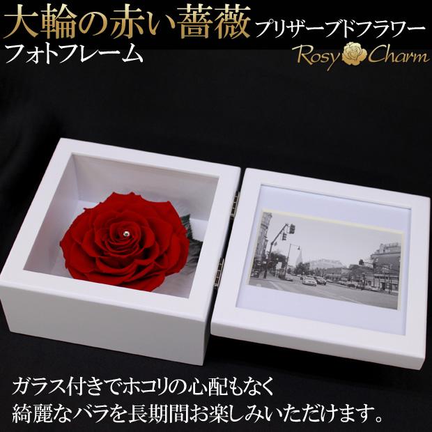 プリザーブドフラワー フォトフレーム 大輪 赤いバラ 一輪 写真立て