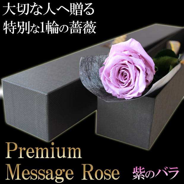 大輪 紫のバラ【プレミアム】 メッセージローズ プリザーブドフラワー