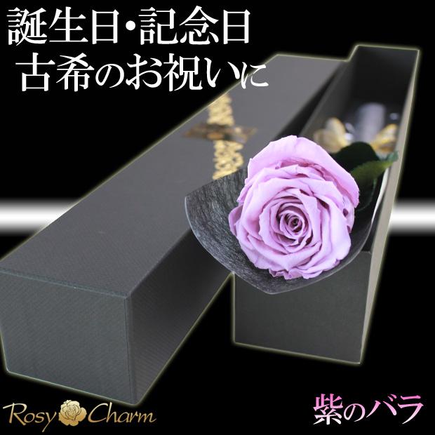 大輪 紫のバラ【プレミアム】 メッセージローズ プリザーブドフラワー