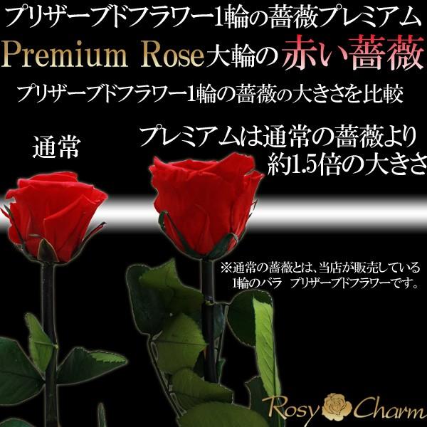 大輪 ピンクのバラ 1本 プレミアムローズ プリザーブドフラワー 誕生日