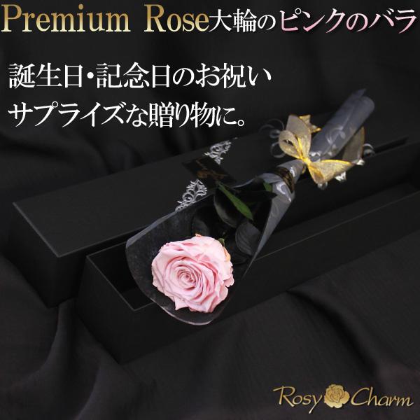 大輪 ピンクのバラ 1本 プレミアムローズ プリザーブドフラワー 誕生日