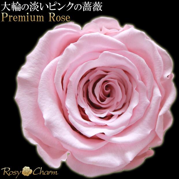 大輪 ピンクのバラ 1本 プレミアムローズ プリザーブドフラワー 誕生日