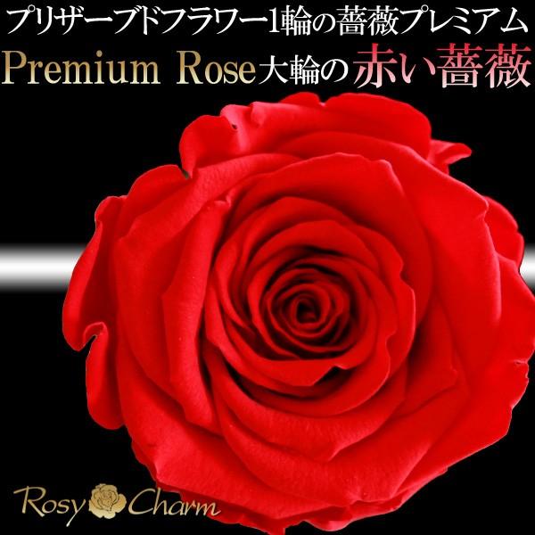 赤い薔薇 1本 プレミアムローズ プリザーブドフラワー プロポーズ 結婚記念日 誕生日 プレゼント 大輪 薔薇 花束 1輪 箱入り 枯れない花 ギフト Premiumred 01 ロージーチャーム ヤフー店 通販 Yahoo ショッピング