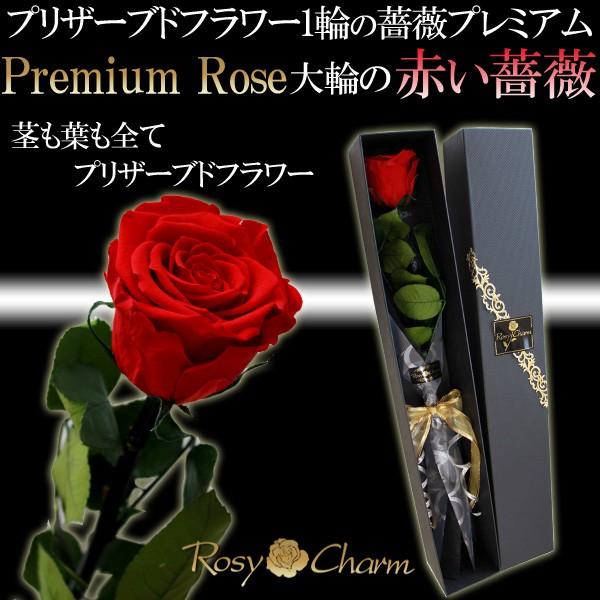 お買い求めしやすい価格 花束 バラ プロポーズ 誕生日 花 還暦祝い 母 誕生日プレゼント 女性 母の日 送料無料 花束 プリザーブドフラワー 花束 バラ本 赤バラ プリザーブドフラワー 送別 退職祝い ホワイトデー ギフト プレゼント 女性 記念日 ブリザード