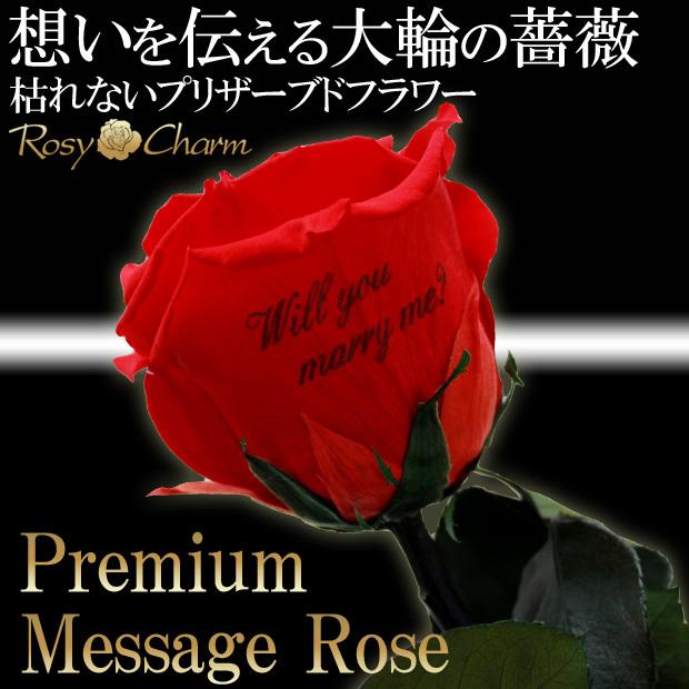 大輪 【プレミアム】 メッセージローズ プリザーブドフラワー 赤いバラ 1本 プロポーズ 誕生日 プレゼント 結婚記念日 贈り物 一輪 枯れない 高級 花束 ギフト