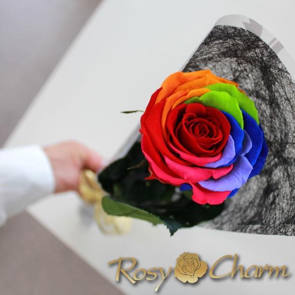 レインボーローズ プリザーブドフラワー 薔薇 1本 誕生日 プレゼント