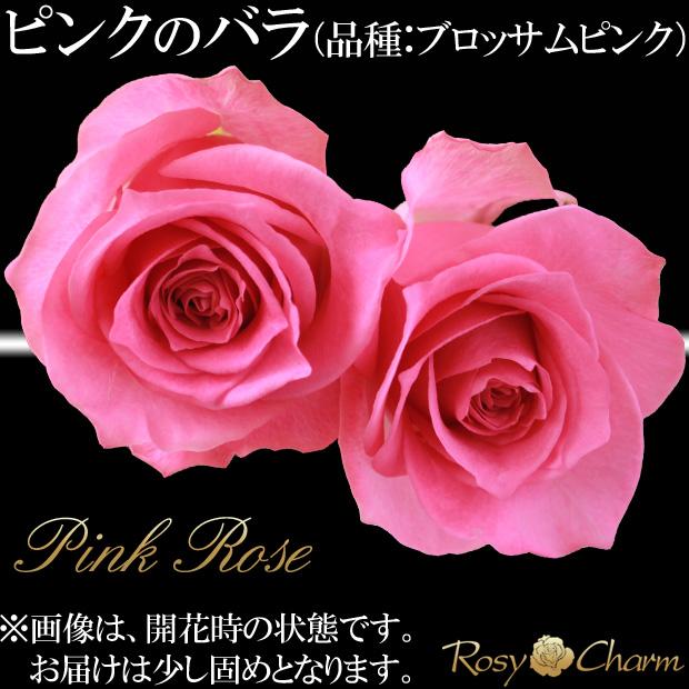 バラの花束 20本〜60本  誕生日 プレゼント 結婚 記念日 還暦 お祝い 薔薇 花束 贈り物 バラ 赤 ピンク 黄色 白 本数指定 お花 ギフト｜rosycharm｜09