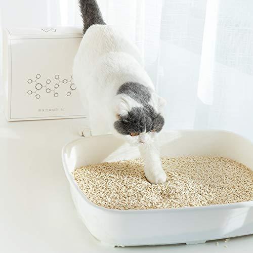 安い 猫砂 バイオ 猫 トイレ 砂 猫用品の必須アイテム 6l6個 お歳暮 Giftideasforall Com