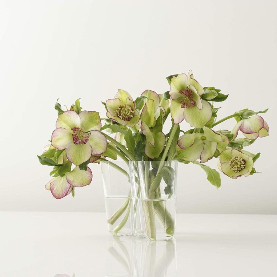 期間限定 最安値挑戦 正規輸入品 Iittala イッタラ Alvar lto Collection フラワーベース クリア 95mmベース 95mm 花瓶 花器 Cienciadigitaleditorial Com