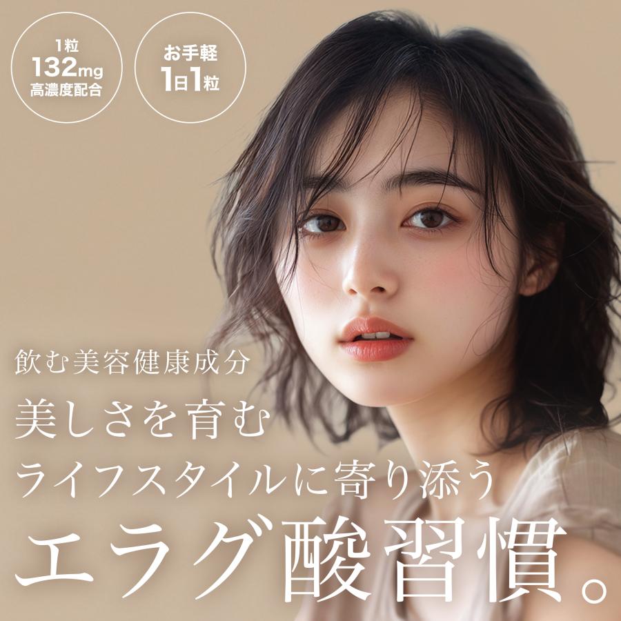 ROTTS エラグ酸 サプリ 132mg 高配合 溢れるエラグ酸 コレファイン（30