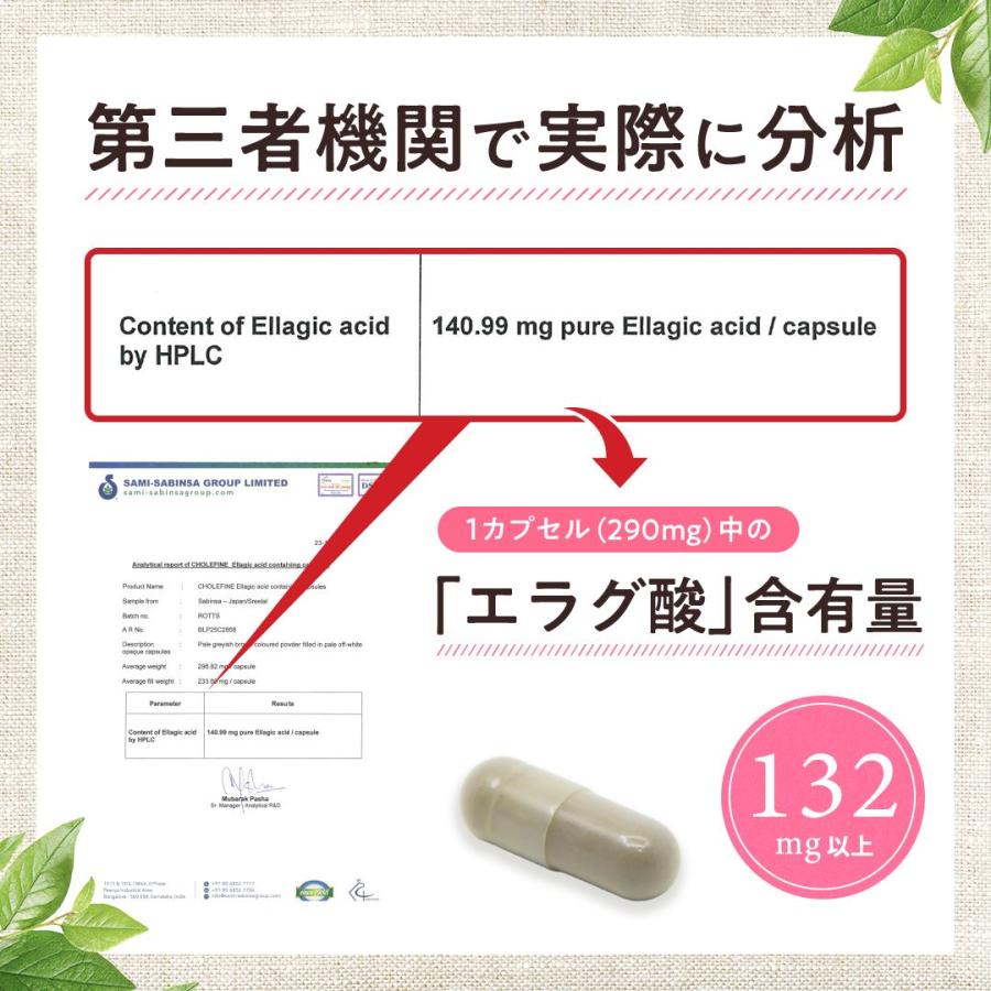ROTTS エラグ酸 サプリ 132mg 高配合 溢れるエラグ酸 コレファイン（30
