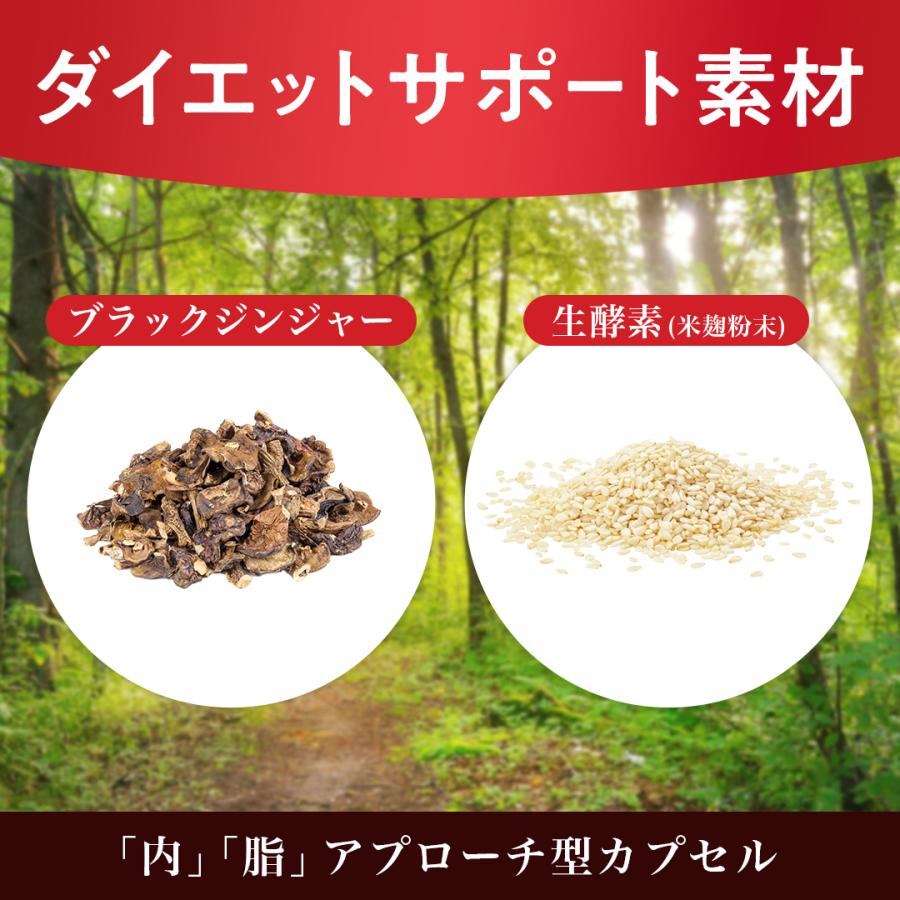 ROTTS 溢れるエラグ酸 コレファイン 3袋計90日分 サプリメント Amazon | エラグ酸 80mg 高配合 サプリ 溢れるエラグ酸 コレ