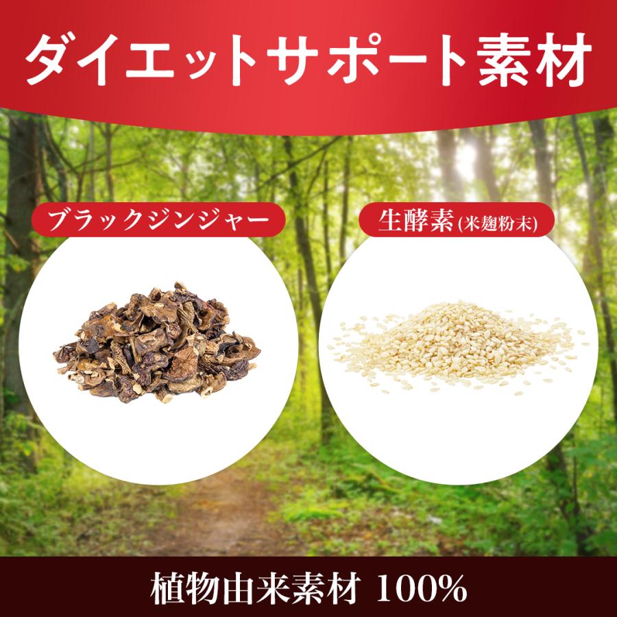ROTTS エラグ酸 [3個セット] 132mg 高配合 サプリ 溢れるエラグ酸 コレ