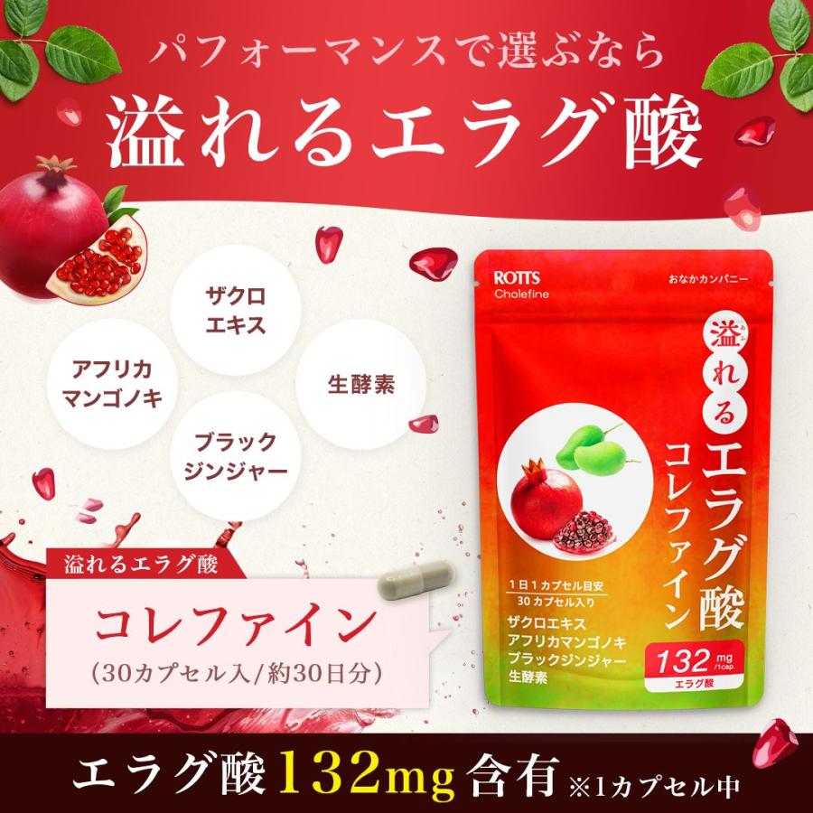 アフリカマンゴノキエキス含有加工食品 明日葉＆アフリカマンゴノキエキス＆白いんげん豆エキス