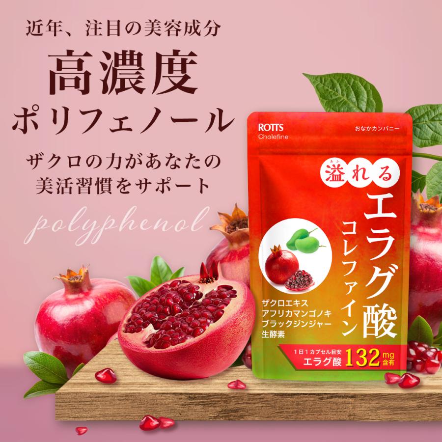 ROTTS エラグ酸 [3個セット] 132mg 高配合 サプリ 溢れるエラグ酸 コレ