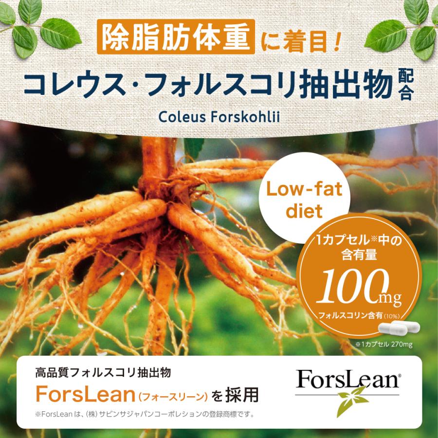 ROTTS フォルスコリPLUS 6袋 コレウス フォースコリー サプリメント 楽天市場】【SALE10%OFF】フォルスコリPLUS（30カプセル）糖脂摂り過ぎ