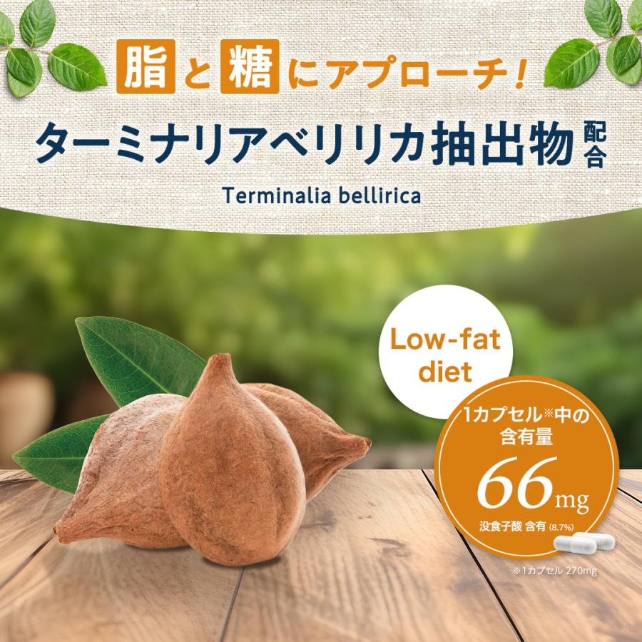 ROTTS 3個セット フォルスコリ PLUS ダイエット サプリメント（計90