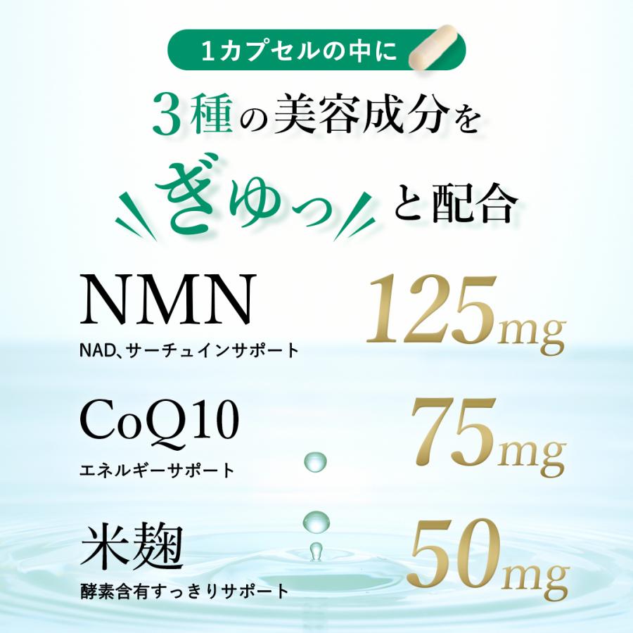 ROTTS NMN(40カプセル) 国産NMN(純度99%以上) コエンザイム ROTTS NMN(40カプセル) 国産NMN(純度99%以上) コエンザイム