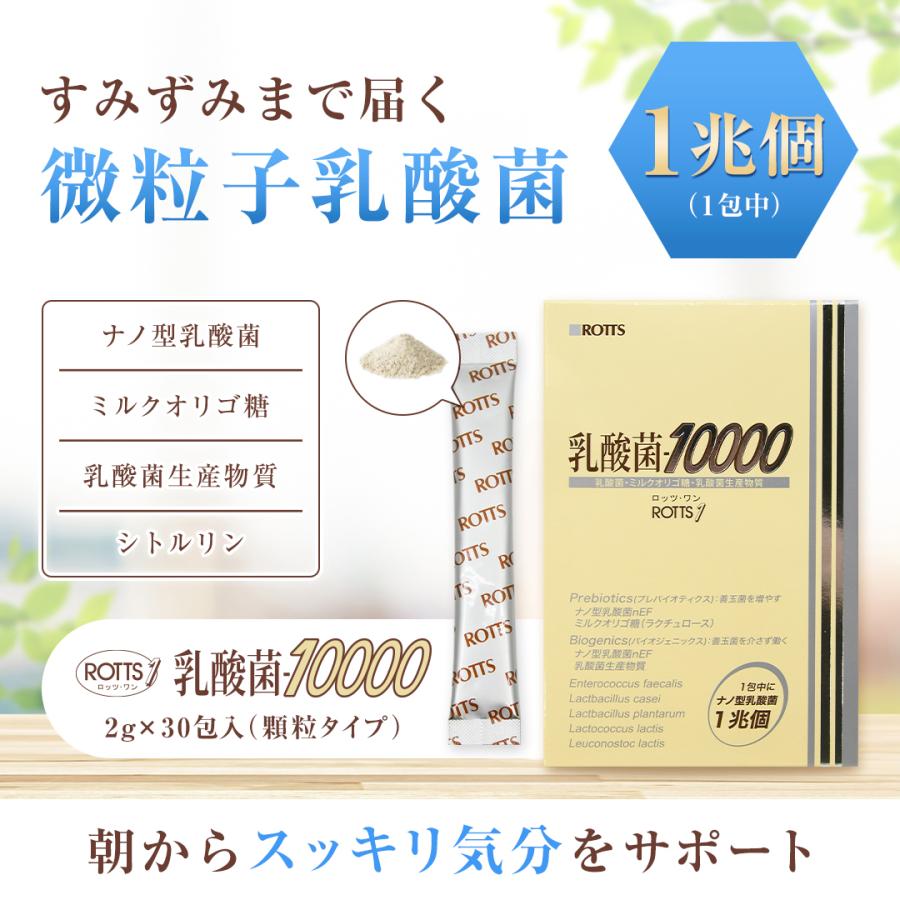 乳酸菌10000 ROTTS-1 （2g×30包） ナノ型乳酸菌 微粒子乳酸菌 ミルクオリゴ糖 ラクチュロース 乳酸菌生産物質 シトルリン イヌリン 顆粒 サプリメント ロッツ | ROTTS | 01