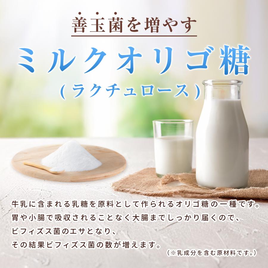 乳酸菌10000 ROTTS-1 （2g×30包） ナノ型乳酸菌 微粒子乳酸菌 ミルクオリゴ糖 ラクチュロース 乳酸菌生産物質 シトルリン イヌリン 顆粒 サプリメント ロッツ | ROTTS | 03