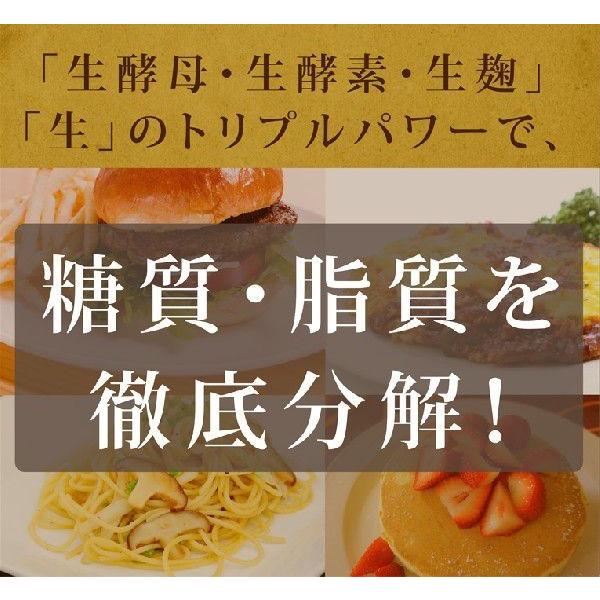 ROTTS [3個セット] 糖・脂が気になる方に 生酵素 生麹 生酵母
