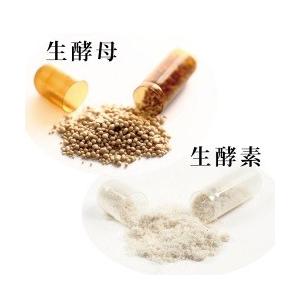 ROTTS [3個セット] 糖・脂が気になる方に 生酵素 生麹 生酵母