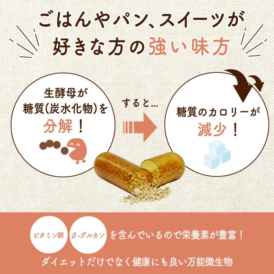 ダイエットサプリ ritu ROTTS 生酵素 生麹 生酵母 ダイエット サプリ メタバイオ