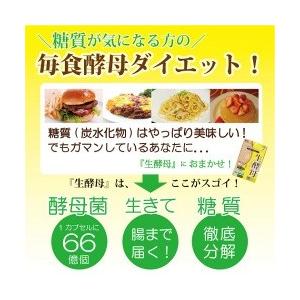 [10個セット] 生きてる 酵母 100％ 菌活 腸活 ダイエット サプリ 生酵母（計300カプセル） 日本の森林から採取した国産天然酵母菌を使用 糖質分解 ROTTS ロッツ_1