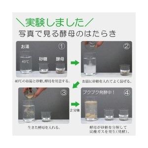 [10個セット] 生きてる 酵母 100％ 菌活 腸活 ダイエット サプリ 生酵母（計300カプセル） 日本の森林から採取した国産天然酵母菌を使用 糖質分解 ROTTS ロッツ_2