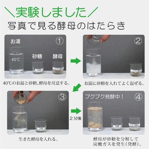 ROTTS 生きてる 酵母 100％ 菌活 腸活 ダイエット サプリ 生酵母（30