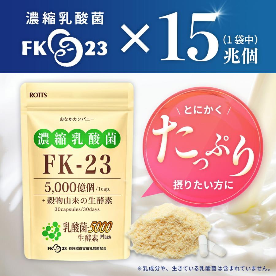 ROTTS 2個セット FK-23 濃縮 乳酸菌 サプリメント 乳酸菌5000生酵素