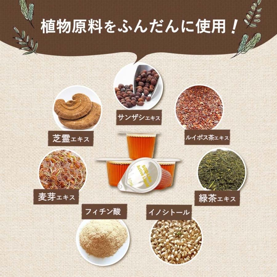 ROTTS SOD様食品 低分子 植物発酵エキス ROTTS SOD (10ml×10P